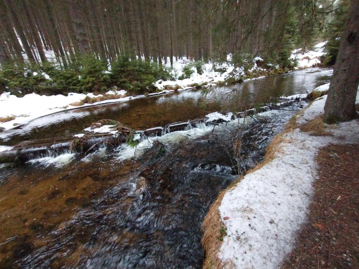 Appartamento Alm-House Hollmann Železná Ruda Esterno foto