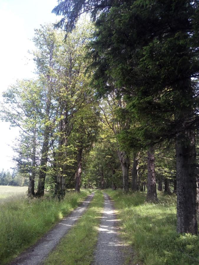 Appartamento Alm-House Hollmann Železná Ruda Esterno foto