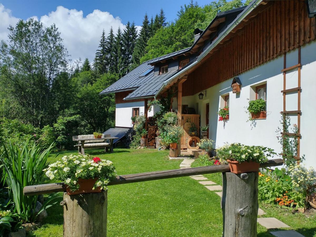Appartamento Alm-House Hollmann Železná Ruda Esterno foto