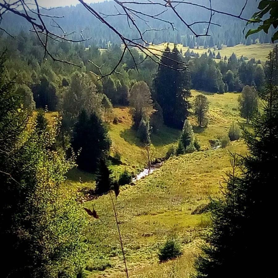 Appartamento Alm-House Hollmann Železná Ruda Esterno foto