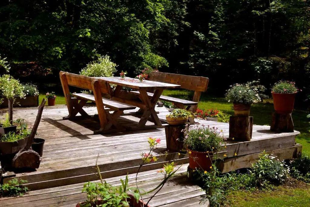 Appartamento Alm-House Hollmann Železná Ruda Esterno foto