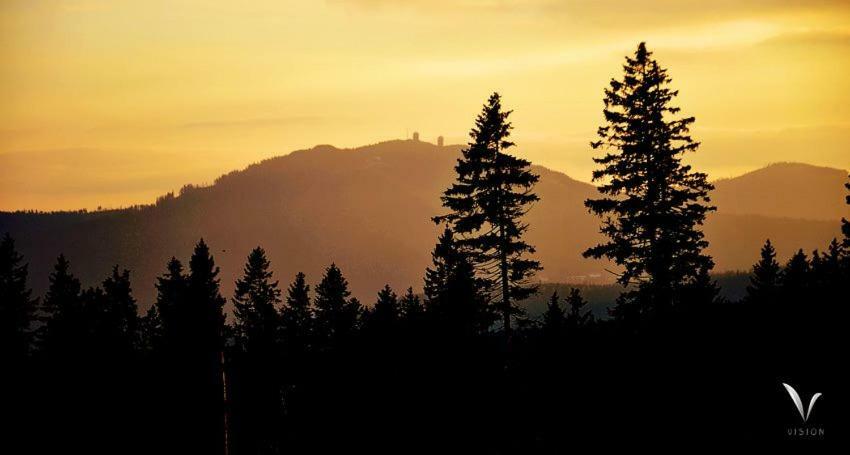 Appartamento Alm-House Hollmann Železná Ruda Esterno foto